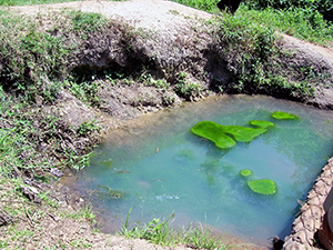 st_anne_grace_water_pond